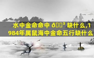 水中金命命中 🐳 缺什么,1984年属鼠海中金命五行缺什么